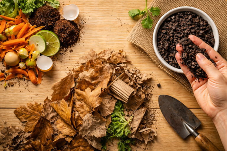 Composting basics — kitchen scraps, dried leaves, and finished compost on a wooden table
