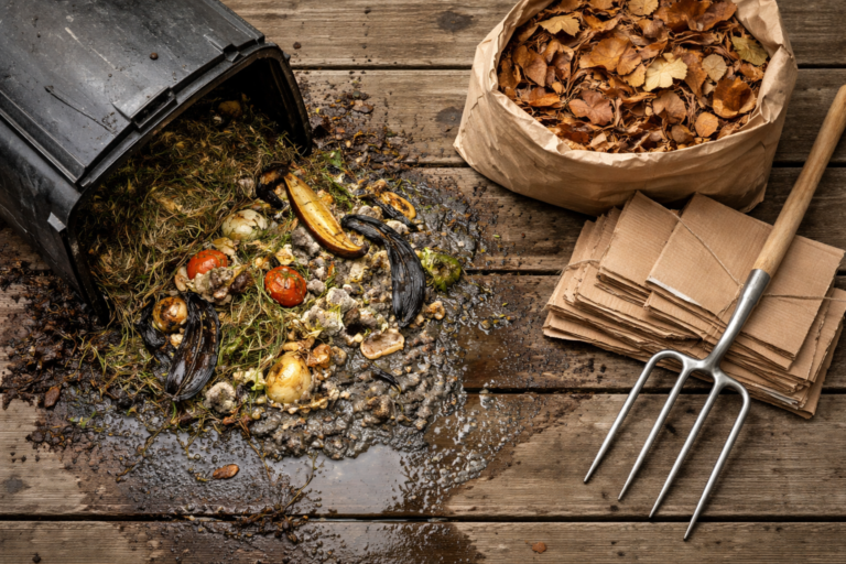 Wet smelly compost bin next to dry brown materials and pitchfork for fixing compost odor