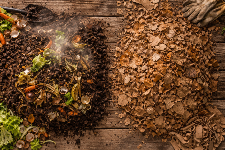 Two compost piles side by side showing hot composting with steam and cold composting undisturbed