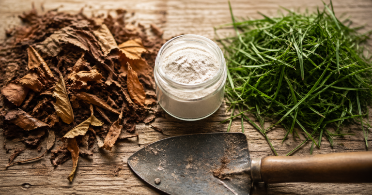 Open jar of compost activator powder next to dry leaves and grass clippings on a wooden surface